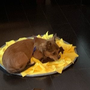 Meet your Posher, Marlene